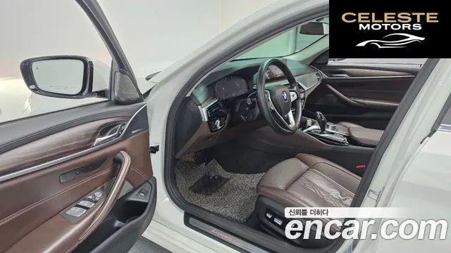 BMW Série 5 (G30) 520d xDrive Luxury Plus 2020 — photo 13 sur 34