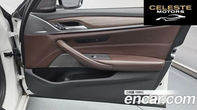 BMW Série 5 (G30) 520d xDrive Luxury Plus 2020 — photo 14 sur 34