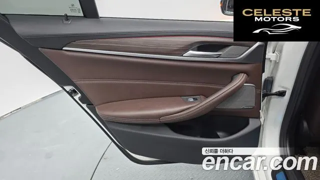 BMW Série 5 (G30) 520d xDrive Luxury Plus 2020 — photo 15 sur 34