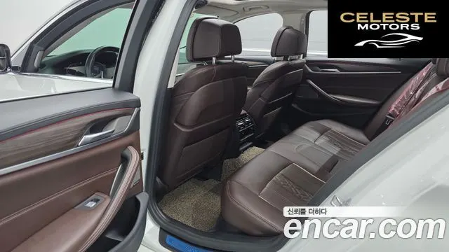 BMW Série 5 (G30) 520d xDrive Luxury Plus 2020 — photo 16 sur 34