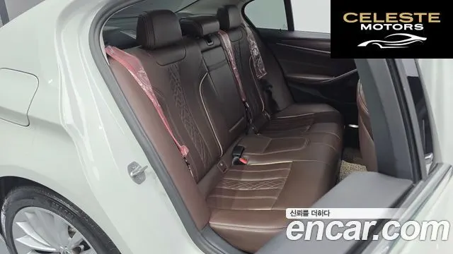 BMW Série 5 (G30) 520d xDrive Luxury Plus 2020 — photo 17 sur 34