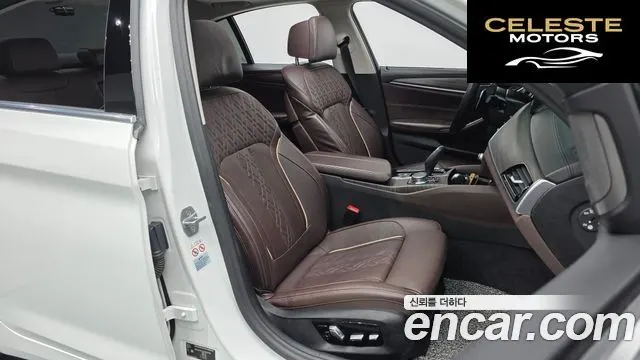 BMW Série 5 (G30) 520d xDrive Luxury Plus 2020 — photo 18 sur 34