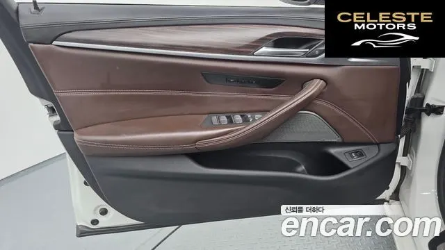 BMW Série 5 (G30) 520d xDrive Luxury Plus 2020 — photo 27 sur 34