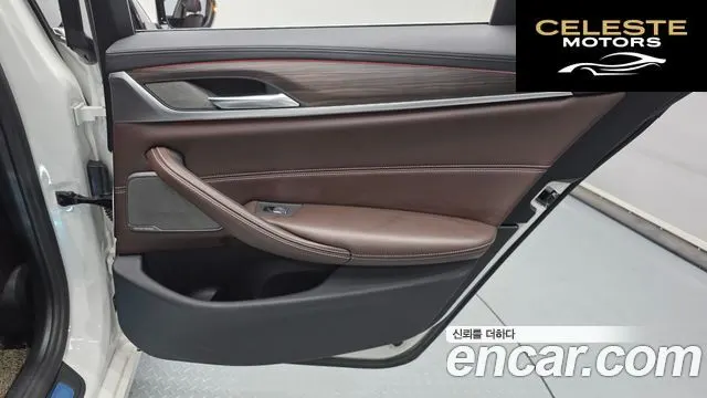BMW Série 5 (G30) 520d xDrive Luxury Plus 2020 — photo 33 sur 34