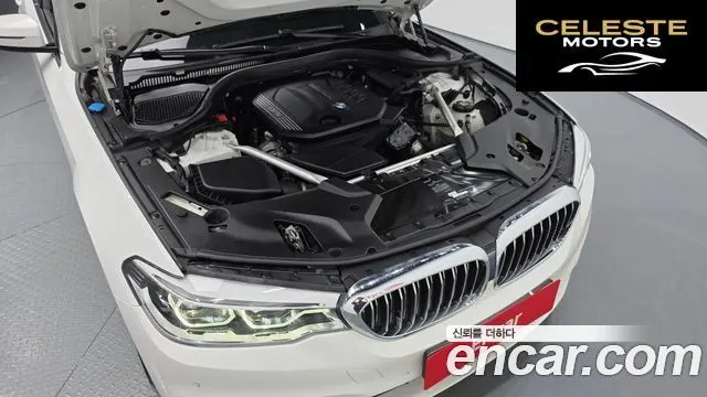 BMW Série 5 (G30) 520d xDrive Luxury Plus 2020 — photo 6 sur 34