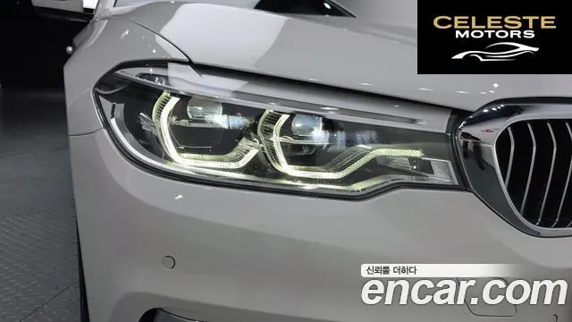BMW Série 5 (G30) 520d xDrive Luxury Plus 2020 — photo 8 sur 34