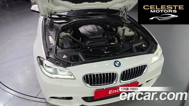 BMW Série 5 (F10) 520d M Aéro Dynamic 2016 — photo 6 sur 20