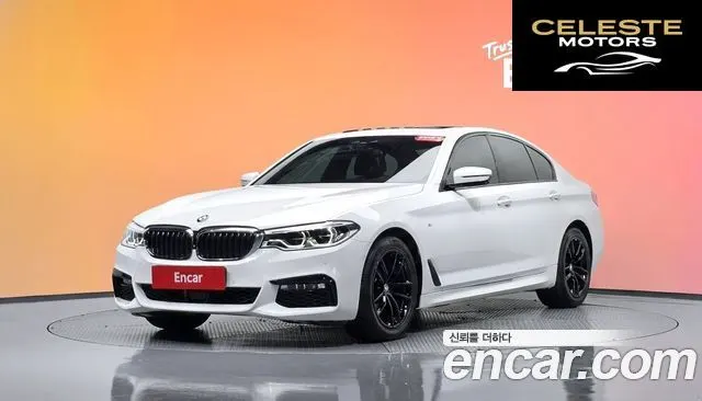 BMW Série 5 (G30) 520d M Sport Plus 2017 — photo 31 sur 37