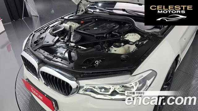 BMW Série 5 (G30) 520d M Sport Plus 2017 — photo 5 sur 37