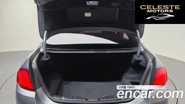 BMW Série 5 (F10) 520d 2014 — photo 20 sur 20