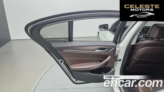 BMW Série 5 (G30) 520d Luxury Plus 2018 — photo 15 sur 36