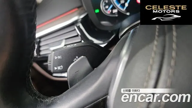 BMW Série 5 (G30) 520d Luxury Plus 2018 — photo 31 sur 36