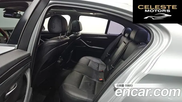 BMW Série 5 (F10) 520d xDrive 2014 — photo 18 sur 32