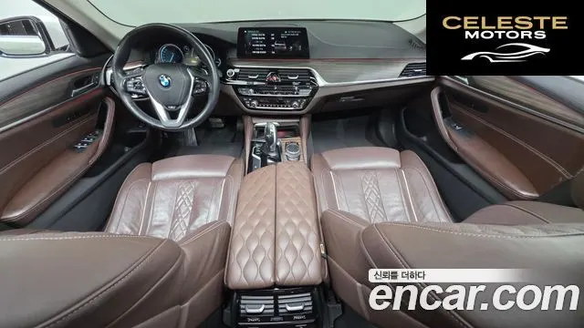 BMW Série 5 (G30) 520d Luxury Plus 2018 — photo 10 sur 36
