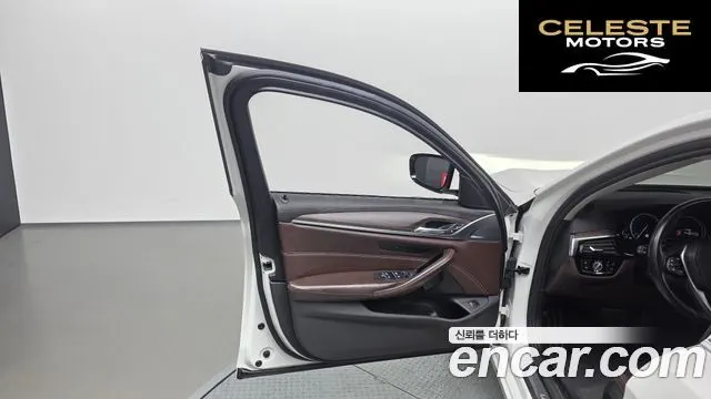 BMW Série 5 (G30) 520d Luxury Plus 2018 — photo 14 sur 36