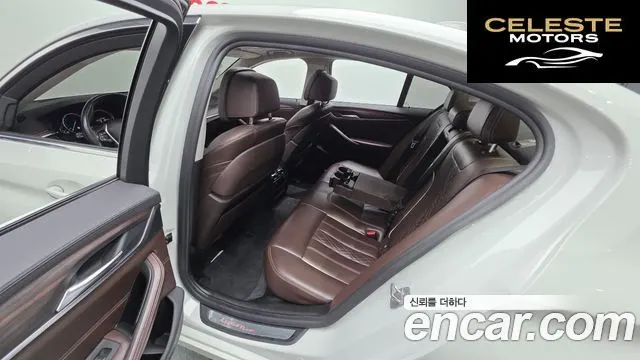 BMW Série 5 (G30) 520d Luxury Plus 2018 — photo 16 sur 36