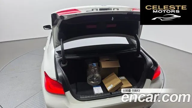 BMW Série 5 (G30) 520d Luxury Plus 2018 — photo 27 sur 36