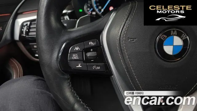 BMW Série 5 (G30) 520d Luxury Plus 2018 — photo 29 sur 36