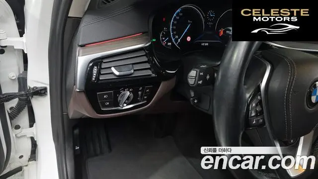 BMW Série 5 (G30) 520d Luxury Plus 2018 — photo 34 sur 36