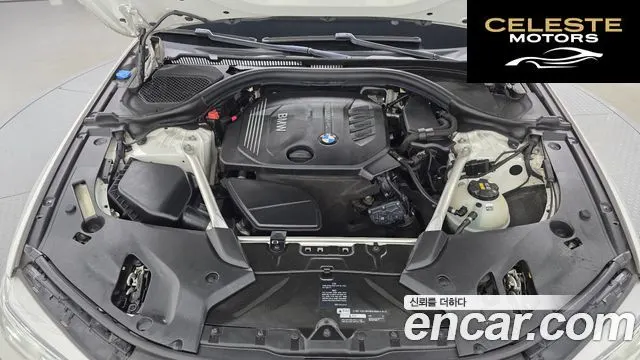 BMW Série 5 (G30) 520d Luxury Plus 2018 — photo 6 sur 36