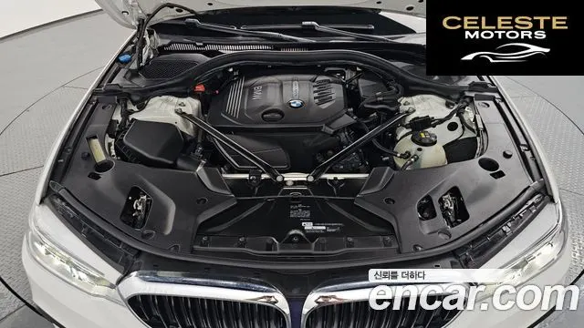 BMW Série 5 (G30) 520d M Sport 2017 — photo 6 sur 26