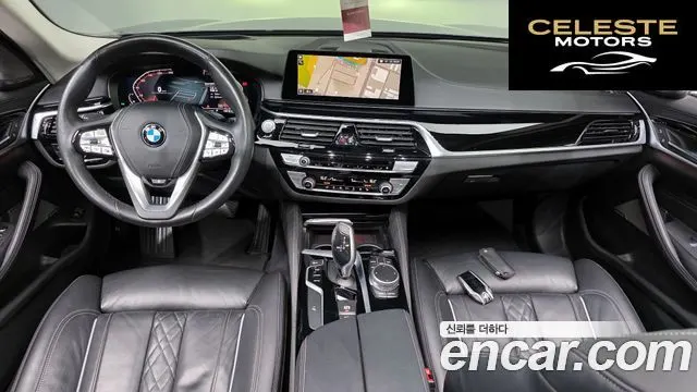 BMW Série 5 (G30) 520i Luxury 2020 — photo 10 sur 33