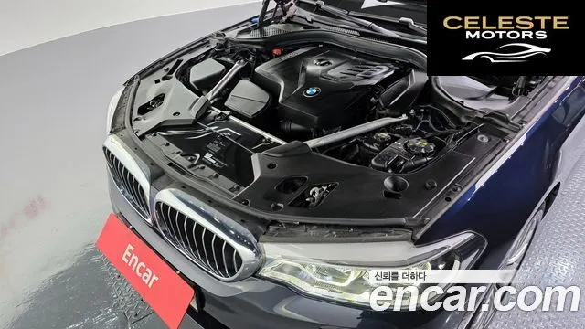 BMW Série 5 (G30) 520i Luxury 2020 — photo 6 sur 33