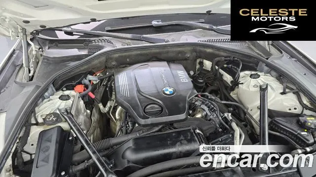 BMW Série 5 (F10) 520d xDrive M Aéro Dynamic 2016 — photo 6 sur 20