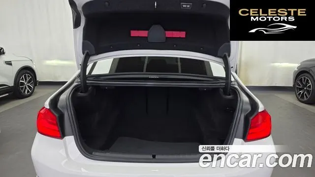 BMW Série 5 (G30) 530i xDrive Luxury Plus 2019 — photo 20 sur 20