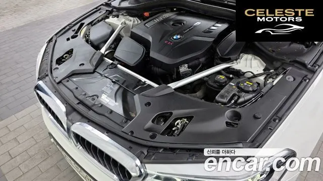 BMW Série 5 (G30) 530i xDrive Luxury Plus 2019 — photo 6 sur 20