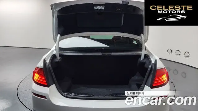 BMW Série 5 (F10) 520d xDrive M Aéro Dynamic 2016 — photo 19 sur 20
