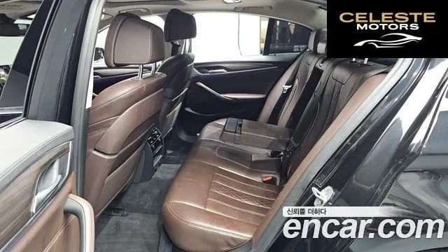 BMW Série 5 (G30) 520d Luxury Plus 2018 — photo 15 sur 36