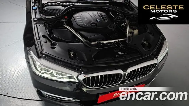 BMW Série 5 (G30) 520d Luxury Plus 2018 — photo 5 sur 36