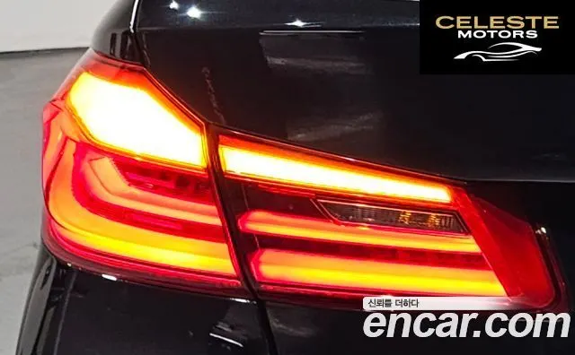 BMW Série 5 (G30) 520d Luxury Plus 2018 — photo 8 sur 36