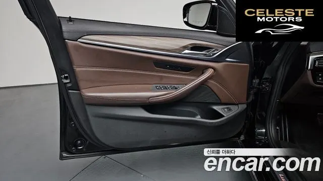 BMW Série 5 (G30) 520d Luxury Plus 2018 — photo 13 sur 36