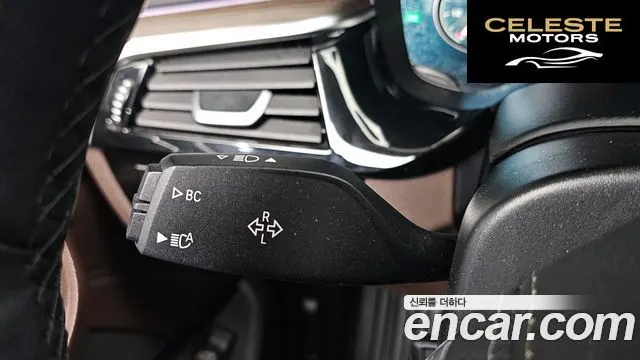 BMW Série 5 (G30) 520d Luxury Plus 2018 — photo 29 sur 36