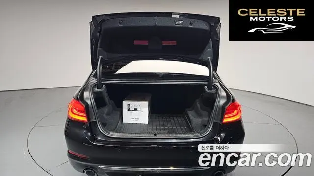 BMW Série 5 (G30) 520d Luxury Plus 2018 — photo 33 sur 36