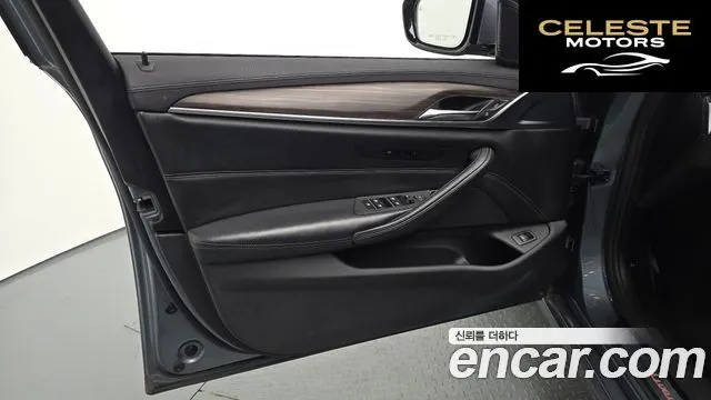 BMW Série 5 (G30) 520d xDrive Luxury Plus 2019 — photo 13 sur 34