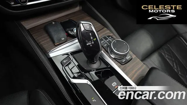 BMW Série 5 (G30) 520d xDrive Luxury Plus 2019 — photo 11 sur 34
