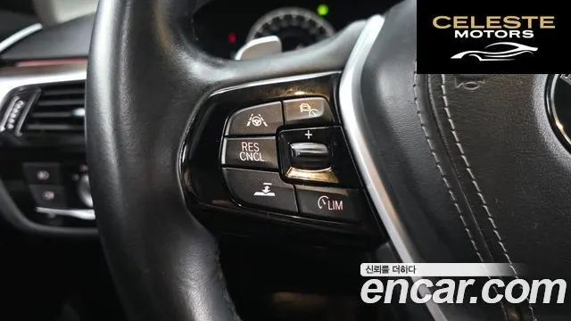 BMW Série 5 (G30) 520d xDrive Luxury Plus 2019 — photo 15 sur 34