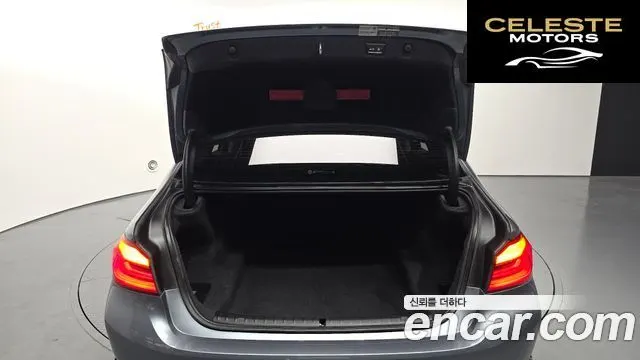 BMW Série 5 (G30) 520d xDrive Luxury Plus 2019 — photo 25 sur 34