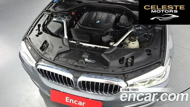 BMW Série 5 (G30) 520d xDrive Luxury Plus 2019 — photo 5 sur 34