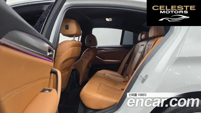 BMW Série 5 (G30) 520d M Sport Spécial Edition 2018 — photo 12 sur 20