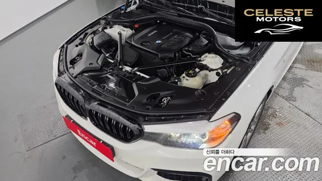 BMW Série 5 (G30) 520d M Sport Spécial Edition 2018 — photo 6 sur 20