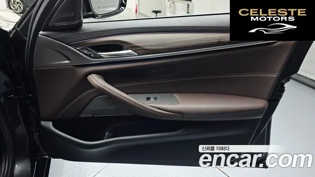 BMW Série 5 (G30) 530e Luxury 2021 — photo 15 sur 35