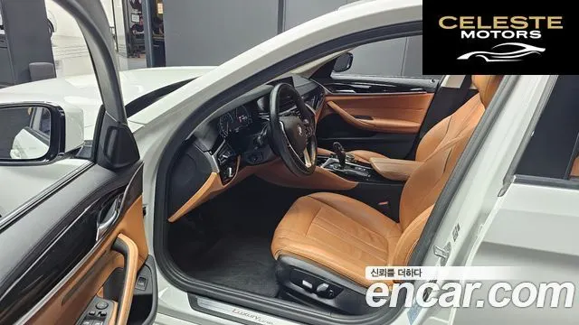 BMW Série 5 (G30) 520i Luxury 2019 — photo 10 sur 20