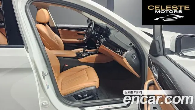 BMW Série 5 (G30) 520i Luxury 2019 — photo 11 sur 20