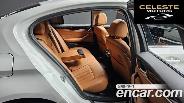 BMW Série 5 (G30) 520i Luxury 2019 — photo 12 sur 20