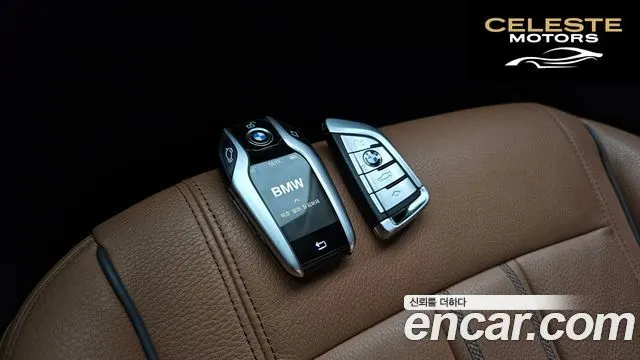 BMW Série 5 (G30) 520i Luxury 2019 — photo 19 sur 20