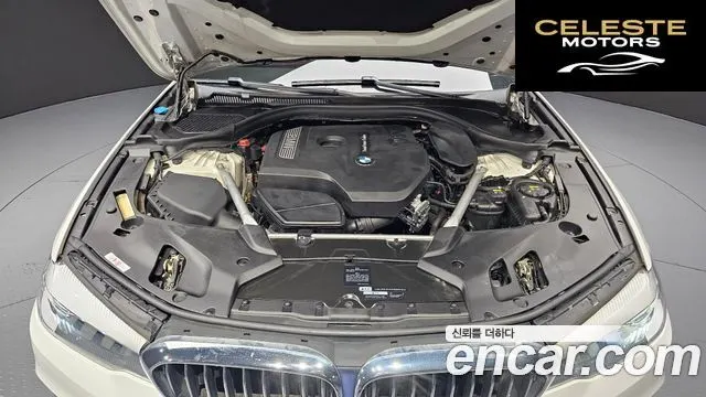 BMW Série 5 (G30) 520i Luxury 2019 — photo 6 sur 20